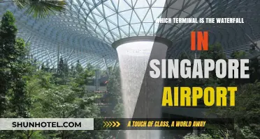 Discovering Singapore Airport's Hidden Gem: The Waterfall Terminal