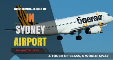 Tiger Air's Sydney Airport Terminal: Your Complete Guide