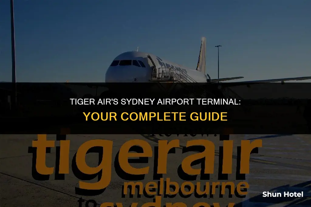 which terminal is tiger air in sydney airport