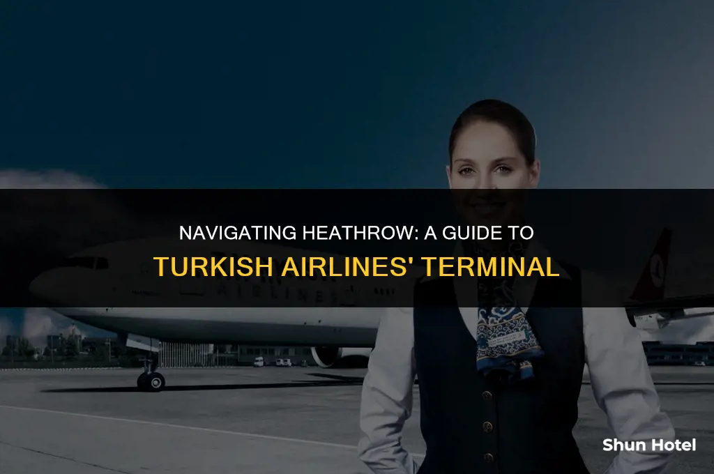 which terminal is turkish airlines in heathrow airport