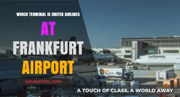 Exploring Frankfurt Airport: United Airlines' Terminal Guide