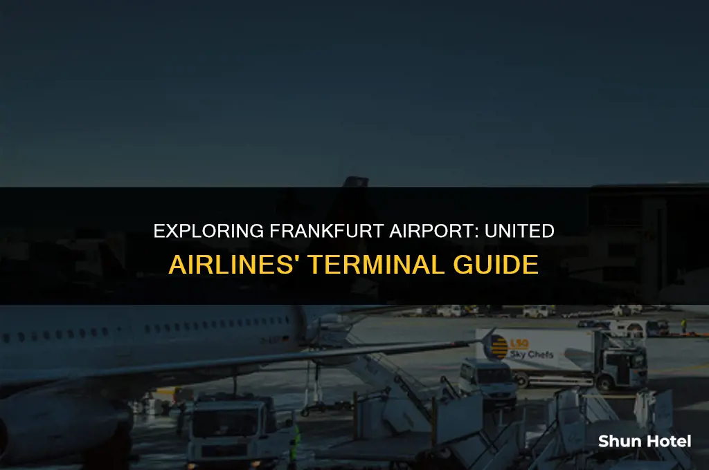 which terminal is united airlines at frankfurt airport