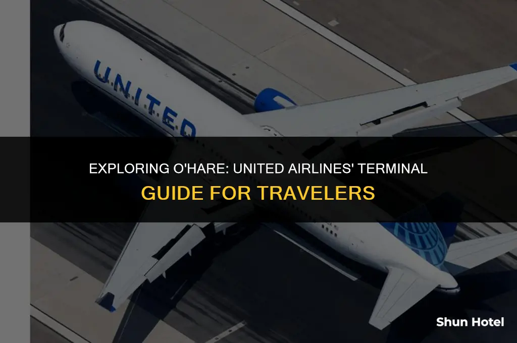 which terminal is united airlines at o hare airport