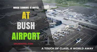 Exploring Bush Airport: A Guide to United's Terminal