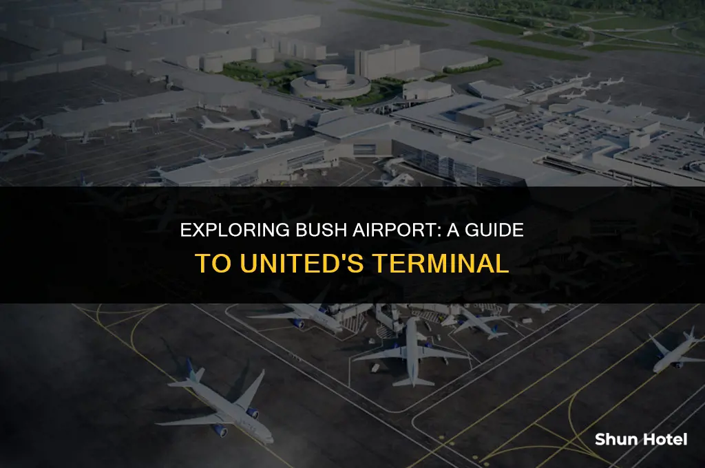which terminal is united at bush airport