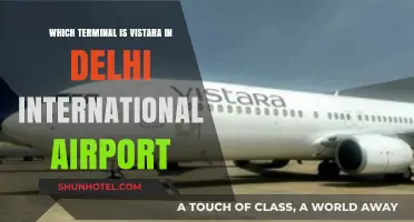 Vistara's Terminal at Delhi International Airport: A Quick Guide