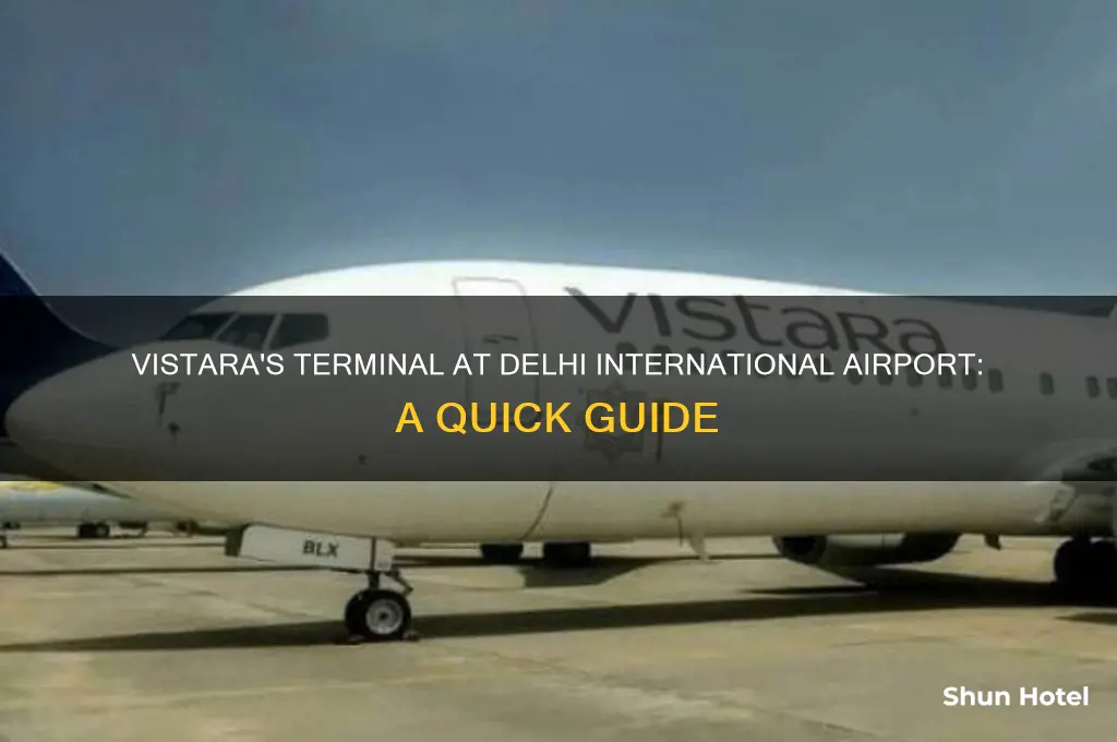 which terminal is vistara in delhi international airport