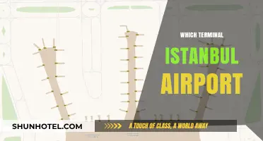 Navigating Istanbul Airport: A Comprehensive Guide to Terminals