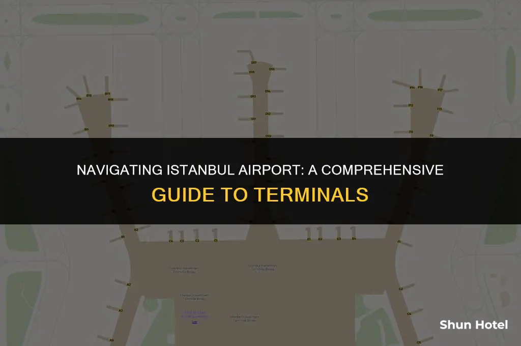 which terminal istanbul airport