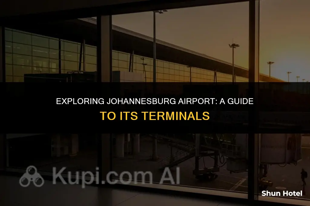 which terminal johannesburg airport