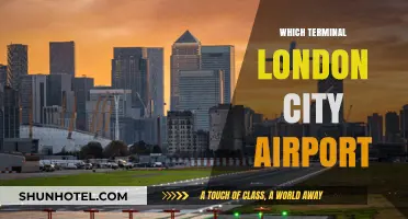 Exploring London City Airport: Your Guide to Terminal Selection