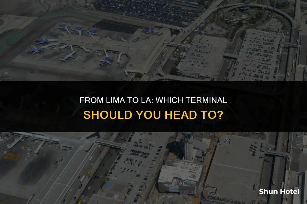 which terminal los angeles airport from lima airport