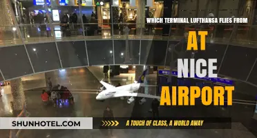 Lufthansa Terminal Guide: Navigating Nice Airport for a Smooth Departure