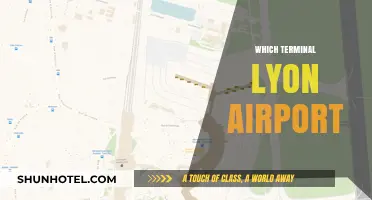 Navigating Lyon Airport: A Comprehensive Guide to Terminal Selection