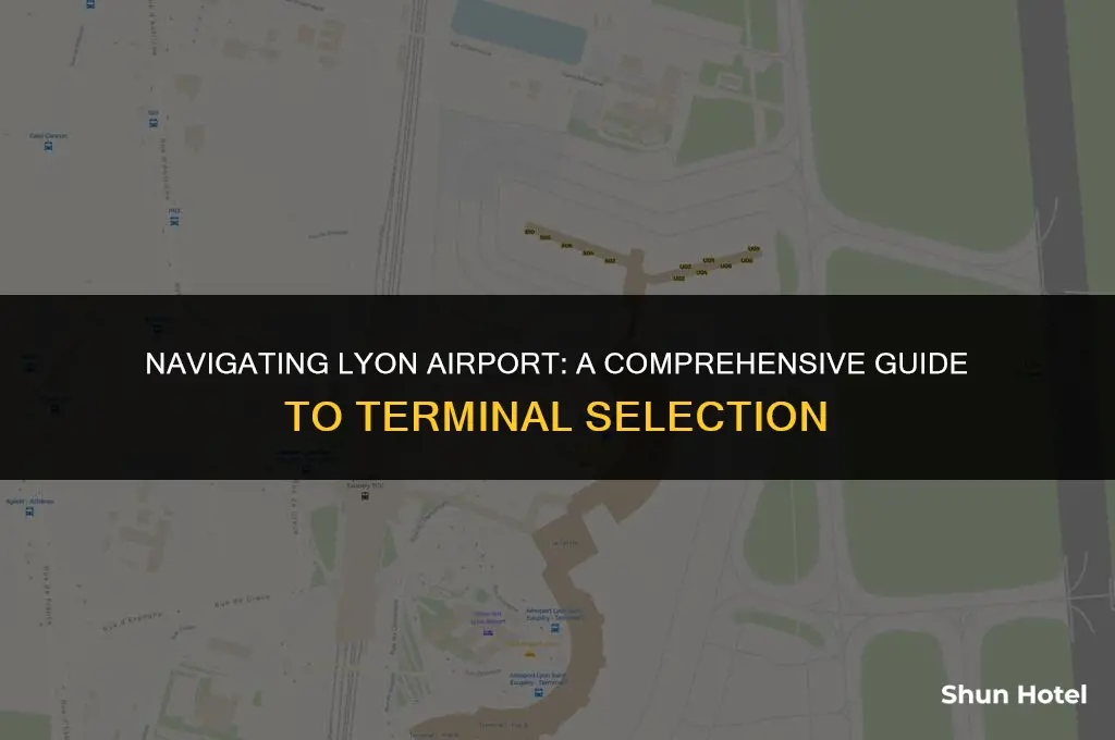 which terminal lyon airport
