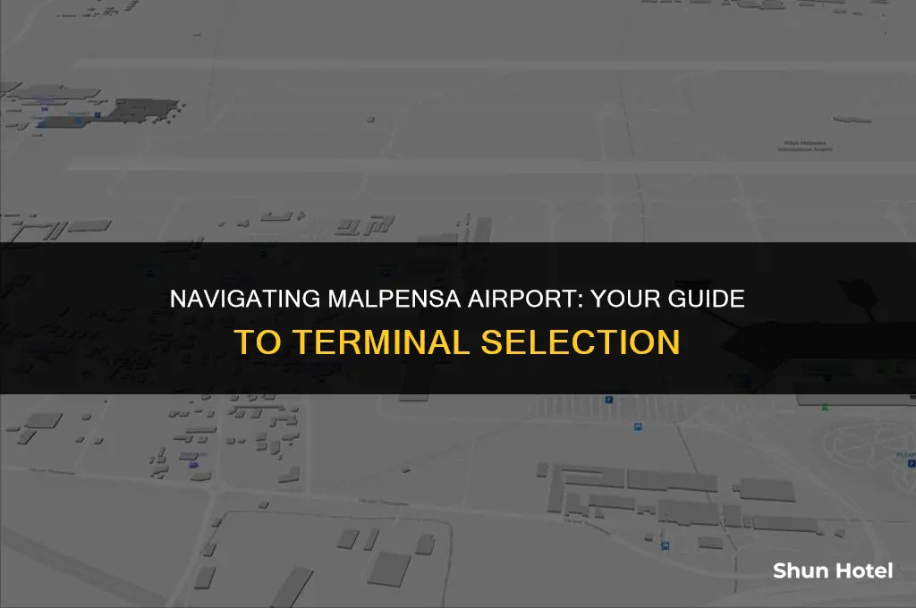 which terminal malpensa airport