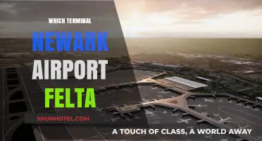 Exploring Newark Airport: A Guide to Terminal B's Hidden Gems