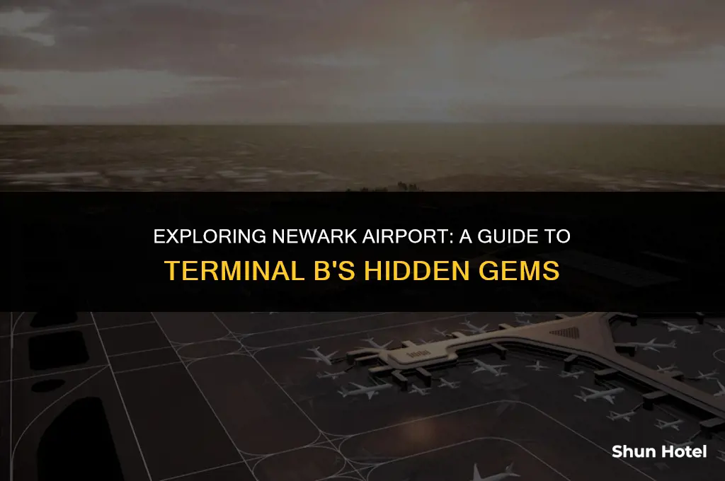 which terminal newark airport felta