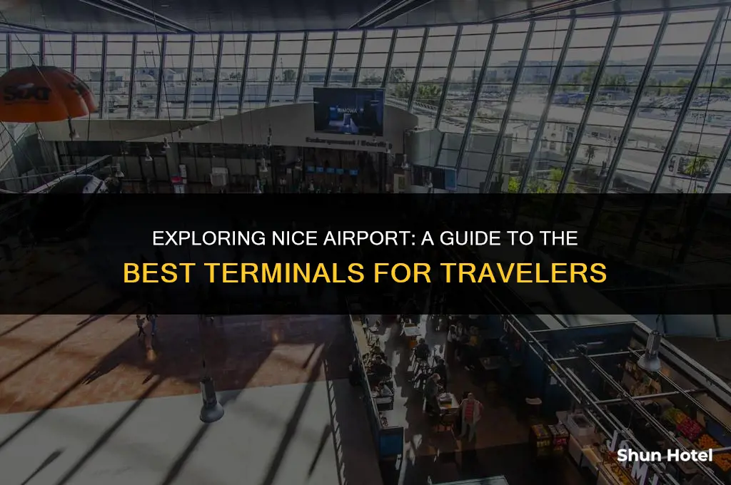 which terminal nice airport