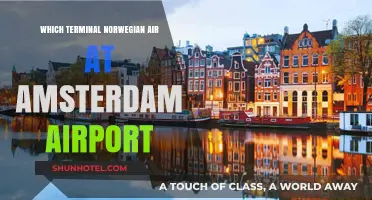 Exploring Amsterdam Airport: Norwegian Air's Terminal Guide
