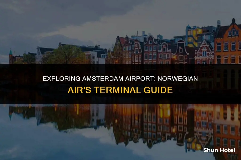 which terminal norwegian air at amsterdam airport