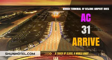 Navigating Beijing Airport: AC31's Arrival Terminal Guide