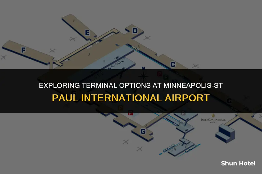 which terminal os delta miniapolis airport