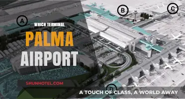 Navigating Palma Airport: Your Guide to the Best Terminal Experience