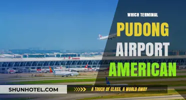 Navigating Pudong Airport: Your Guide to American Airlines Terminal