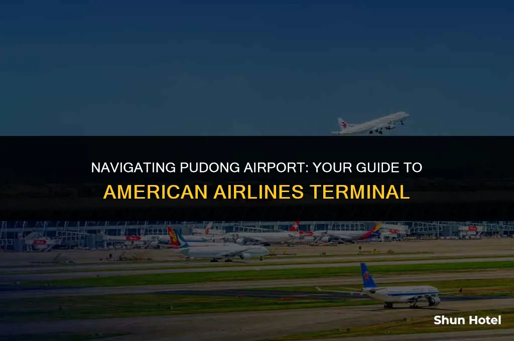 which terminal pudong airport american