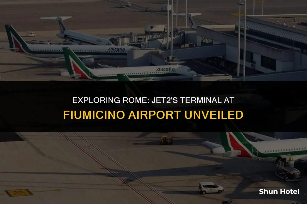 which terminal rome fiumicino airport jet2