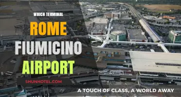 Exploring Rome: A Guide to Fiumicino Airport's Best Terminals