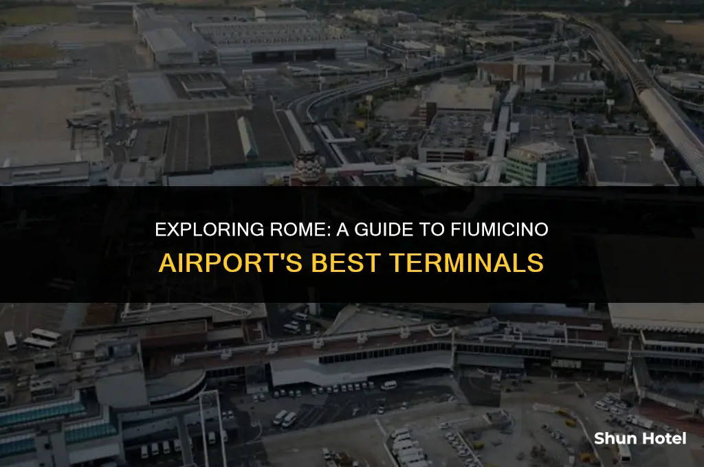 which terminal rome fiumicino airport