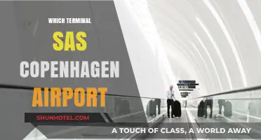 Navigating Copenhagen Airport: Your Guide to Terminal SAS