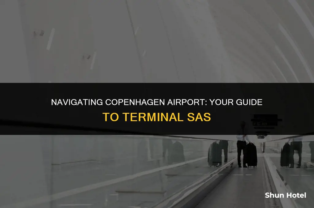 which terminal sas copenhagen airport