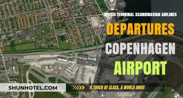 Scandinavian Airlines Departures: Copenhagen Airport's Premier Terminal Guide