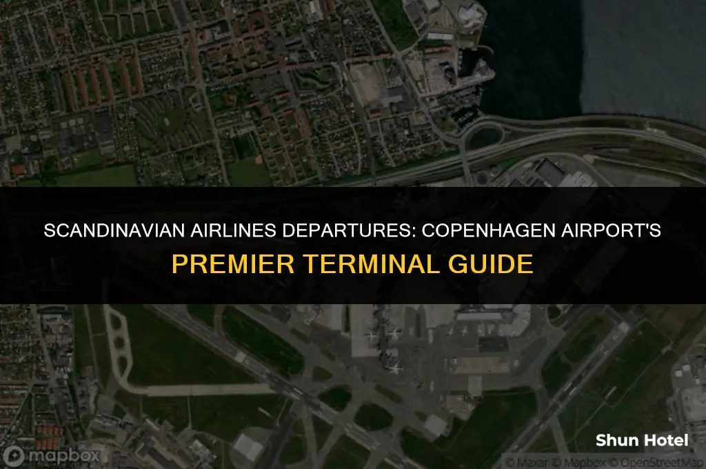which terminal scandinavian airlines departures copenhagen airport