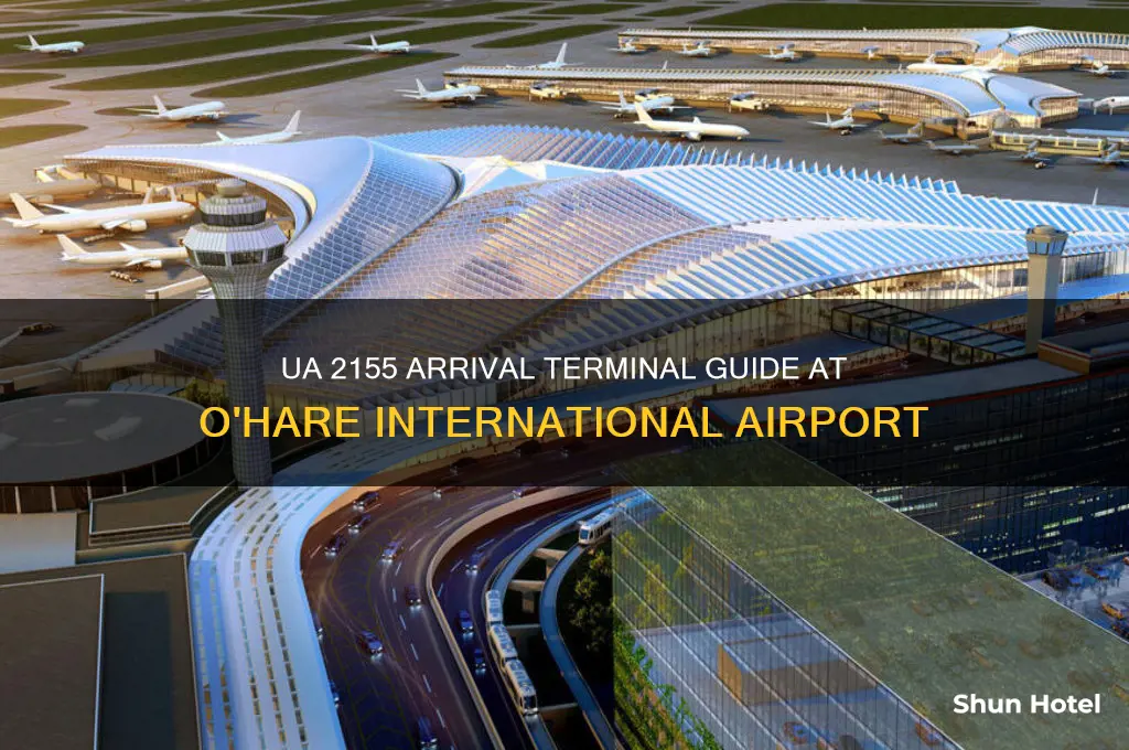 which terminal shall ua 2155 land at o