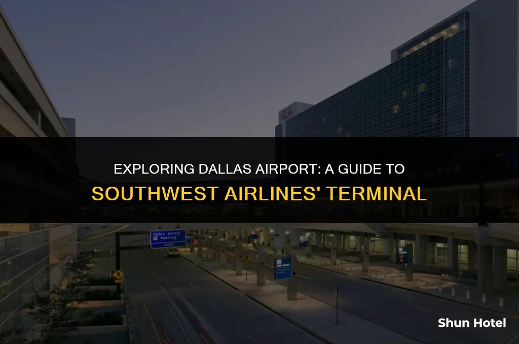 which terminal southwest airlines dal airport