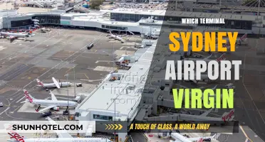 Exploring Sydney Airport: A Guide to Virgin Australia's Terminal