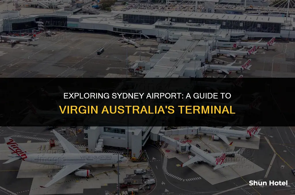 which terminal sydney airport virgin