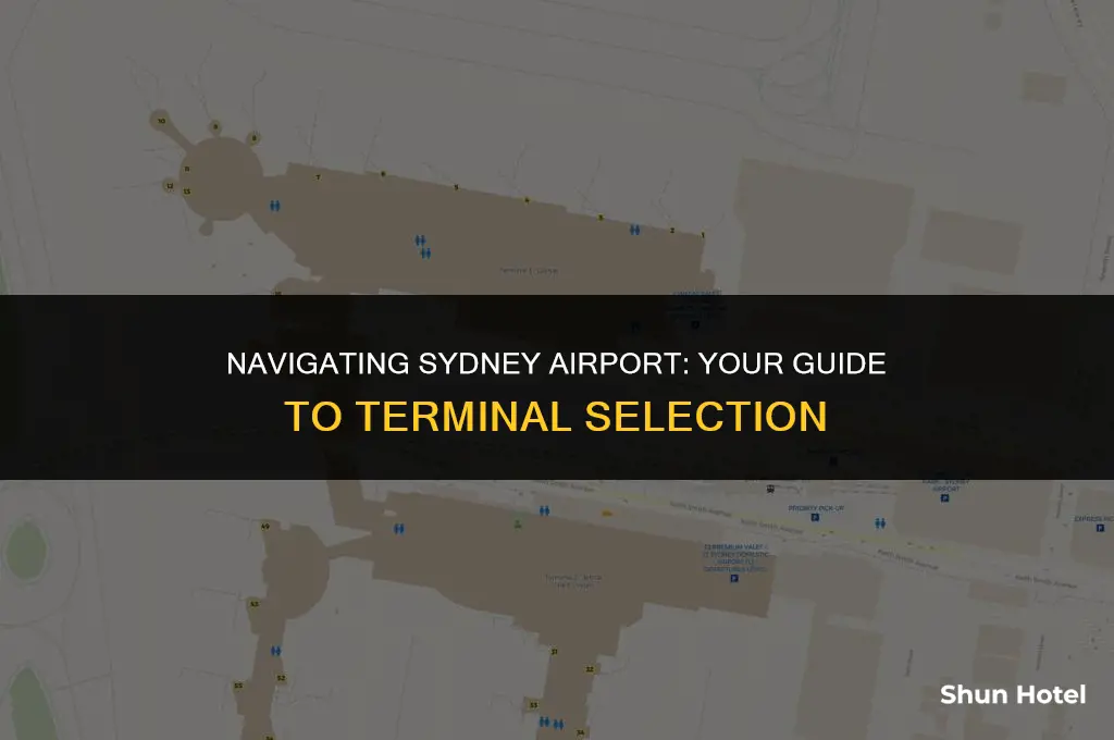 which terminal sydney airport