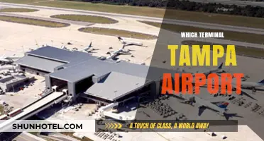 Exploring Tampa Airport: Your Guide to the Best Terminal Experience