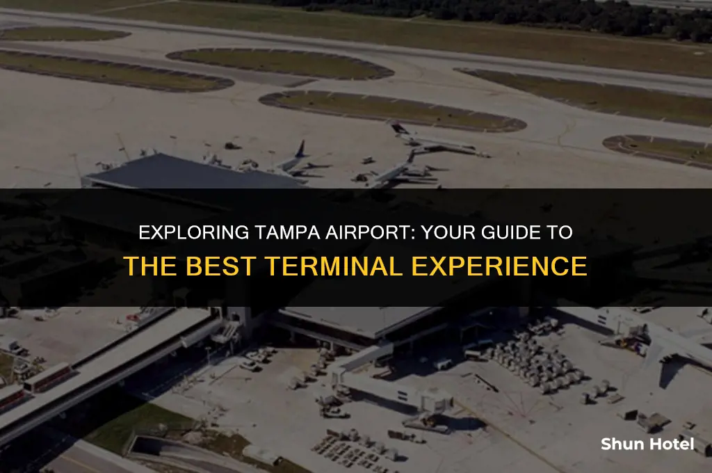 which terminal tampa airport