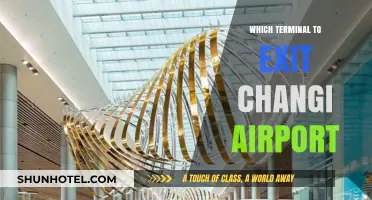 Navigating Changi: Your Guide to the Best Terminal Exit Strategies