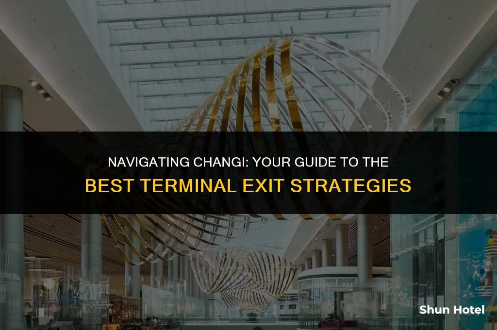 which terminal to exit changi airport