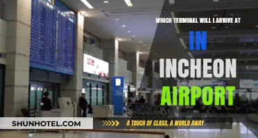 Navigating Incheon Airport: Your Guide to Arrival Terminals
