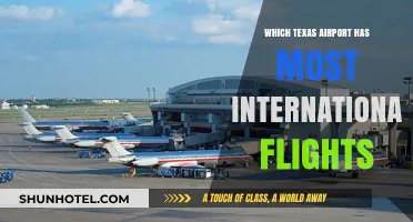 Texas' Top International Hub: Which Airport Leads in Global Flights?