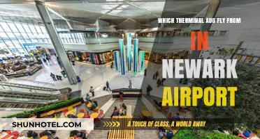 Newark Airport Terminal Guide: Which Terminal for Your Aug Flight?
