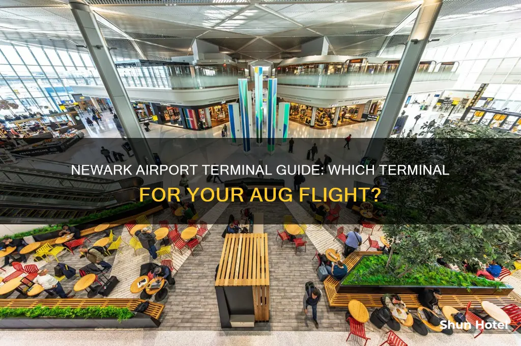 which therminal aug fly from in newark airport